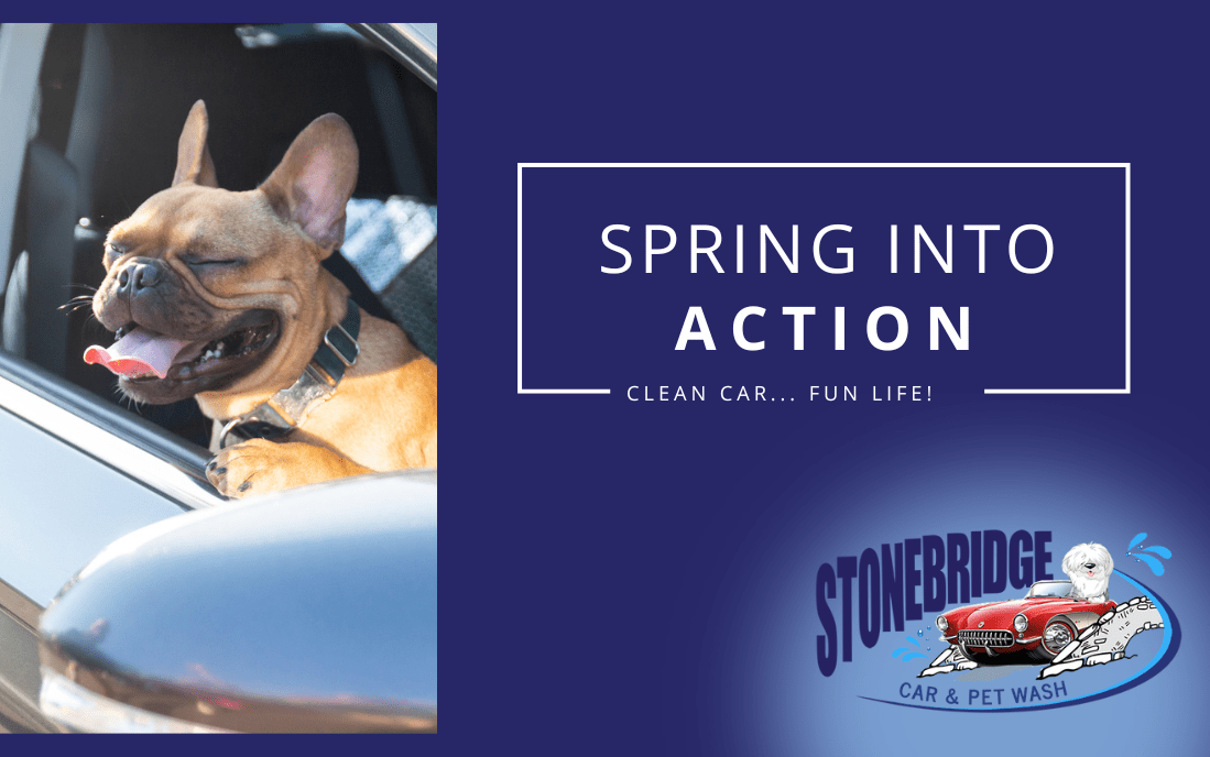 Clean Car, Fun Life Stonebridge Car Wash