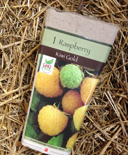 Kiwi Gold Raspberry Stone Brothers