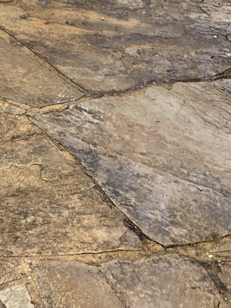 Flagstone Tiles Cleaning, Sealing, Repair Services Dallas and Fort Worth DFW