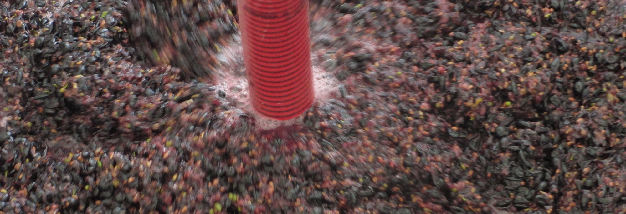 winemaking Stonecroft