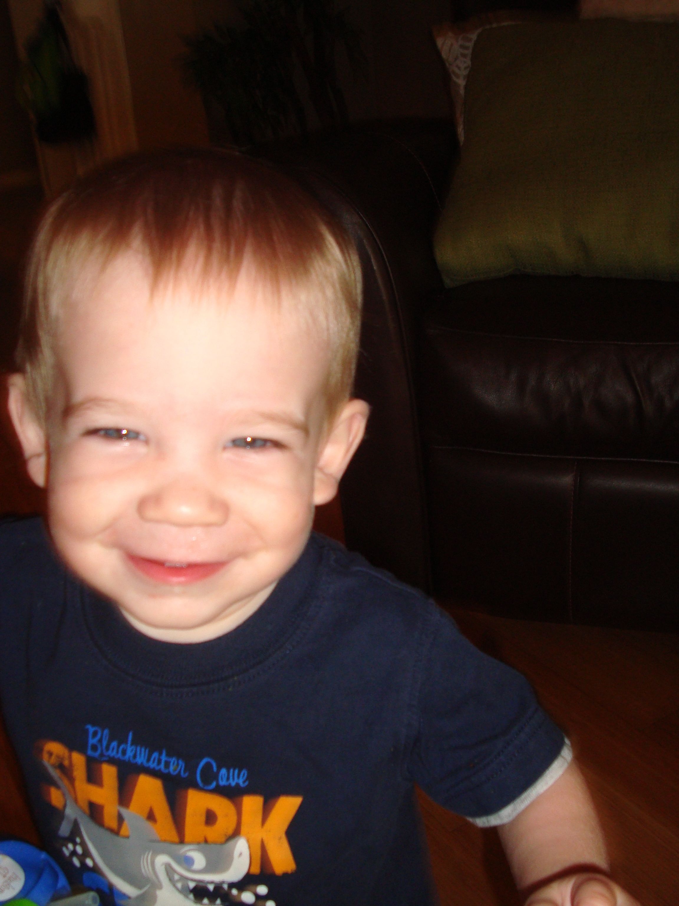 13 months {the stone chronicles}