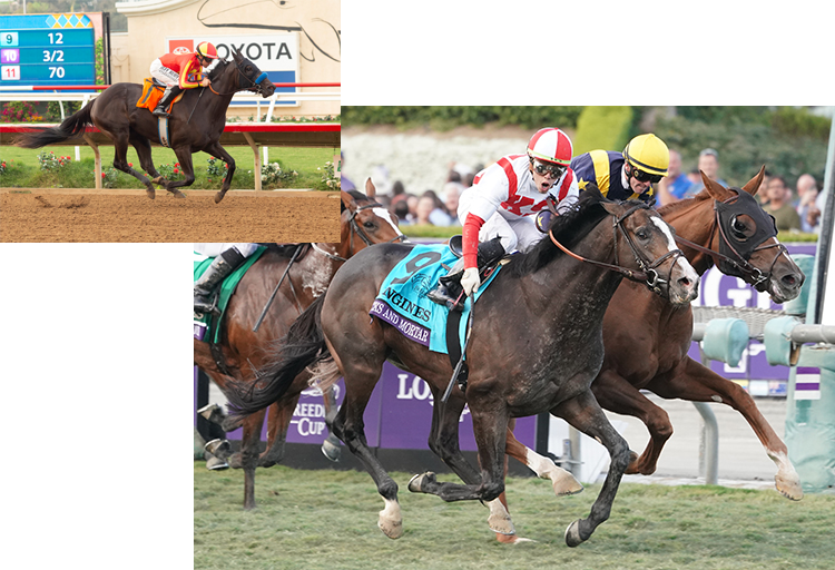 Hancock, Copelan & Ellis Featured in TDN article "Lunching With Legends