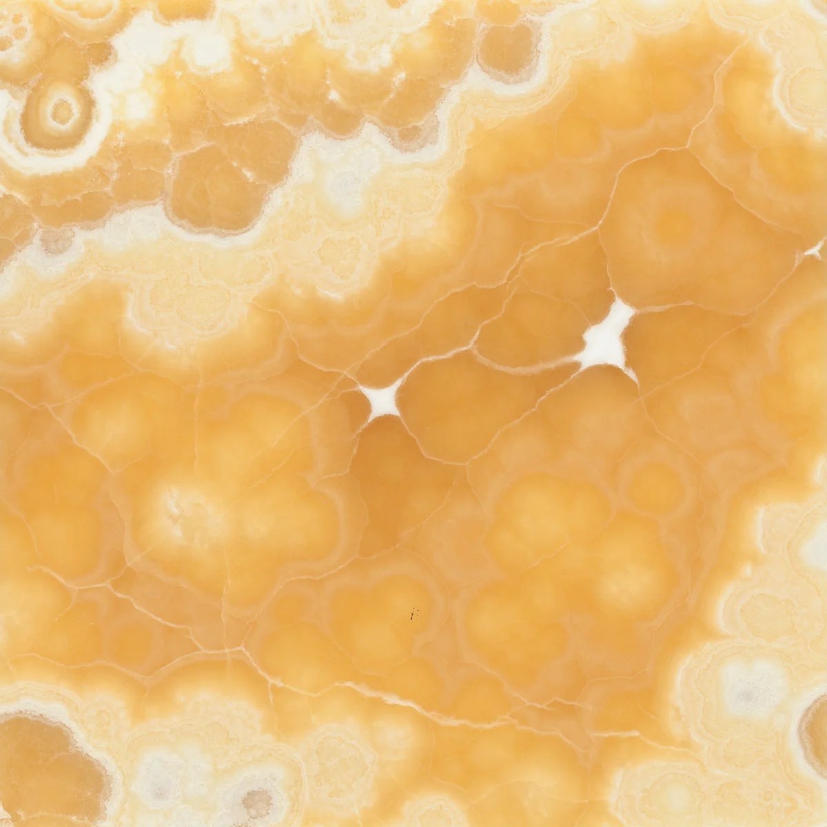 Mexican Onyx Onyx Collection