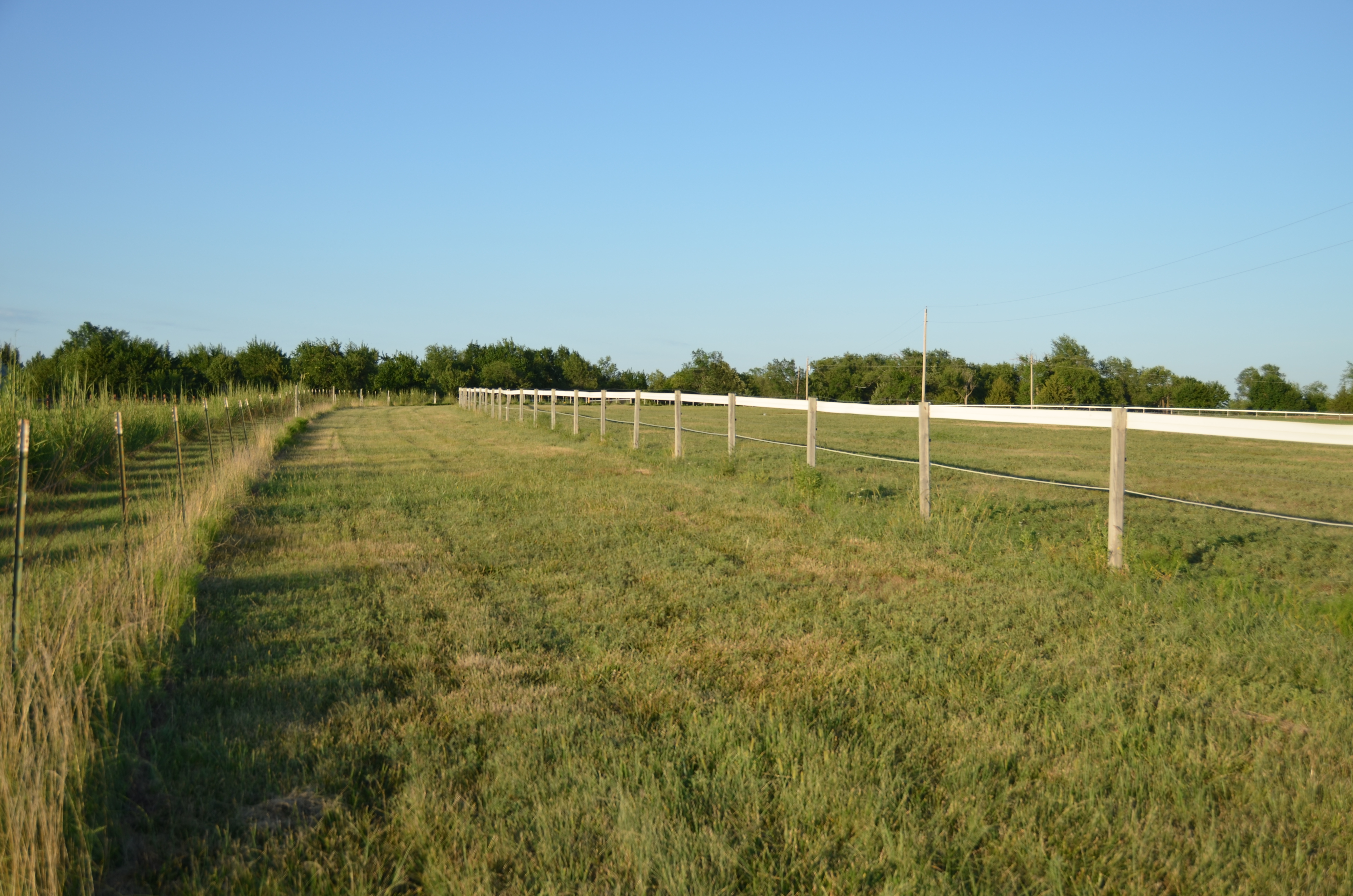 Boarding Airy barn with oversized stalls with personalized care and