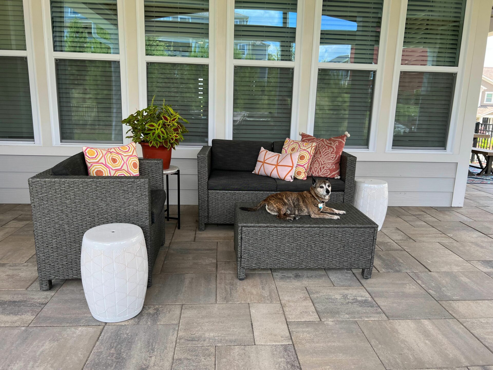 DogFriendly Backyards 7 Ways Hardscape Designs Play a Role