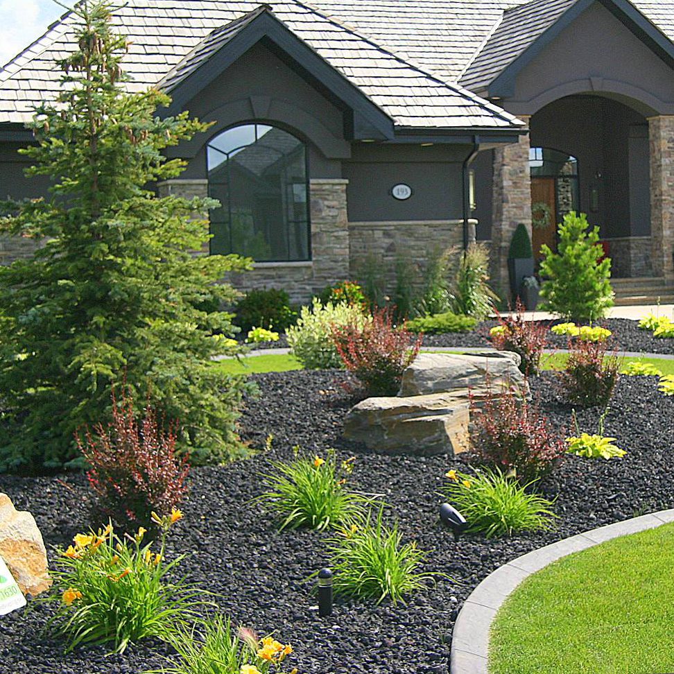 Stone Plus Black Lava Rocks