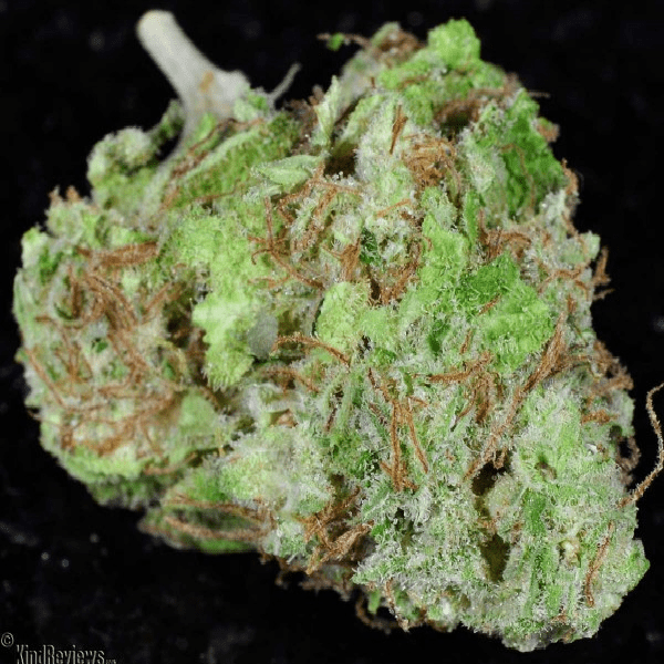 Lambs Bread Marijuana Strain Review Stoner Blog