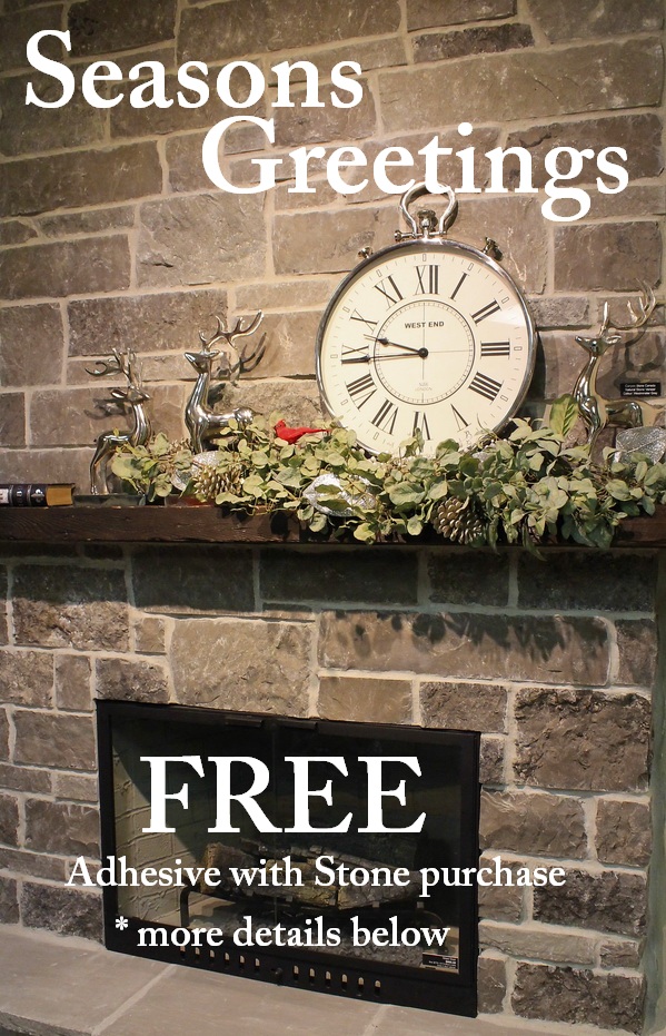 BRICK AND STONE Stone Veneer Adhesive Mississauga STONE SELEX