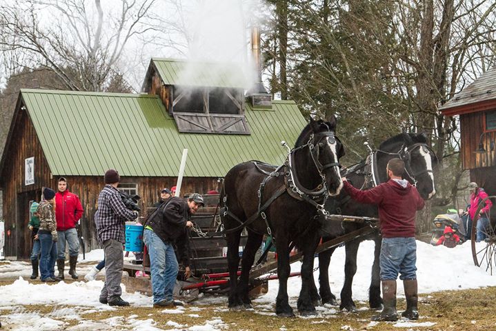 Nh Farm Events 2023 Maple Madness Stonewall Farm