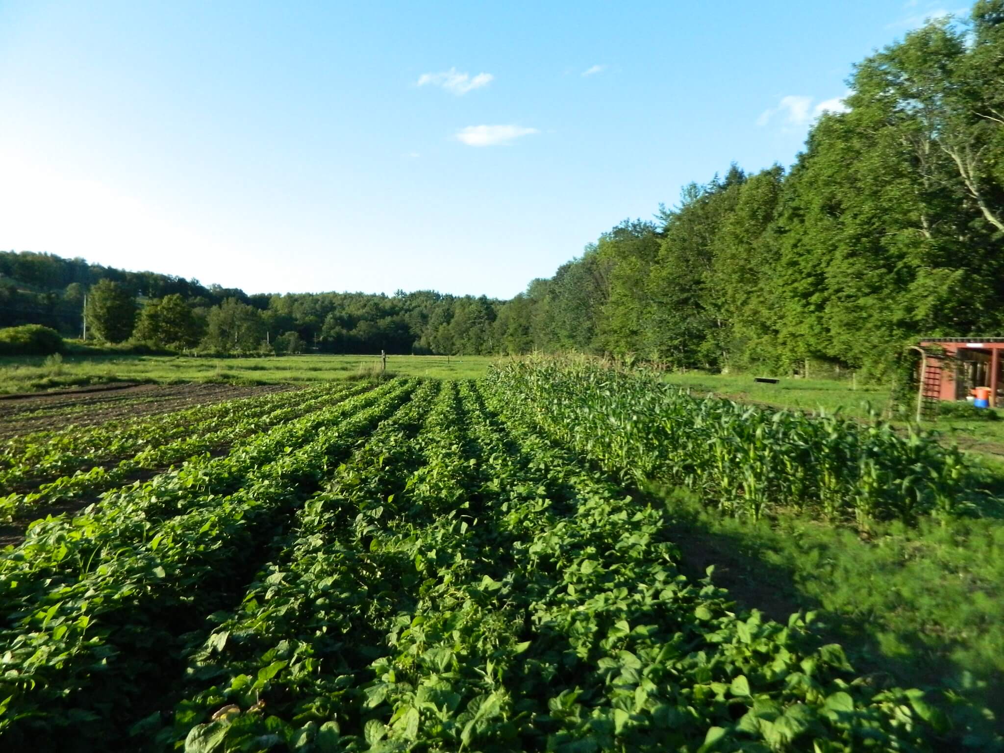 Public Events Stonewall Farm