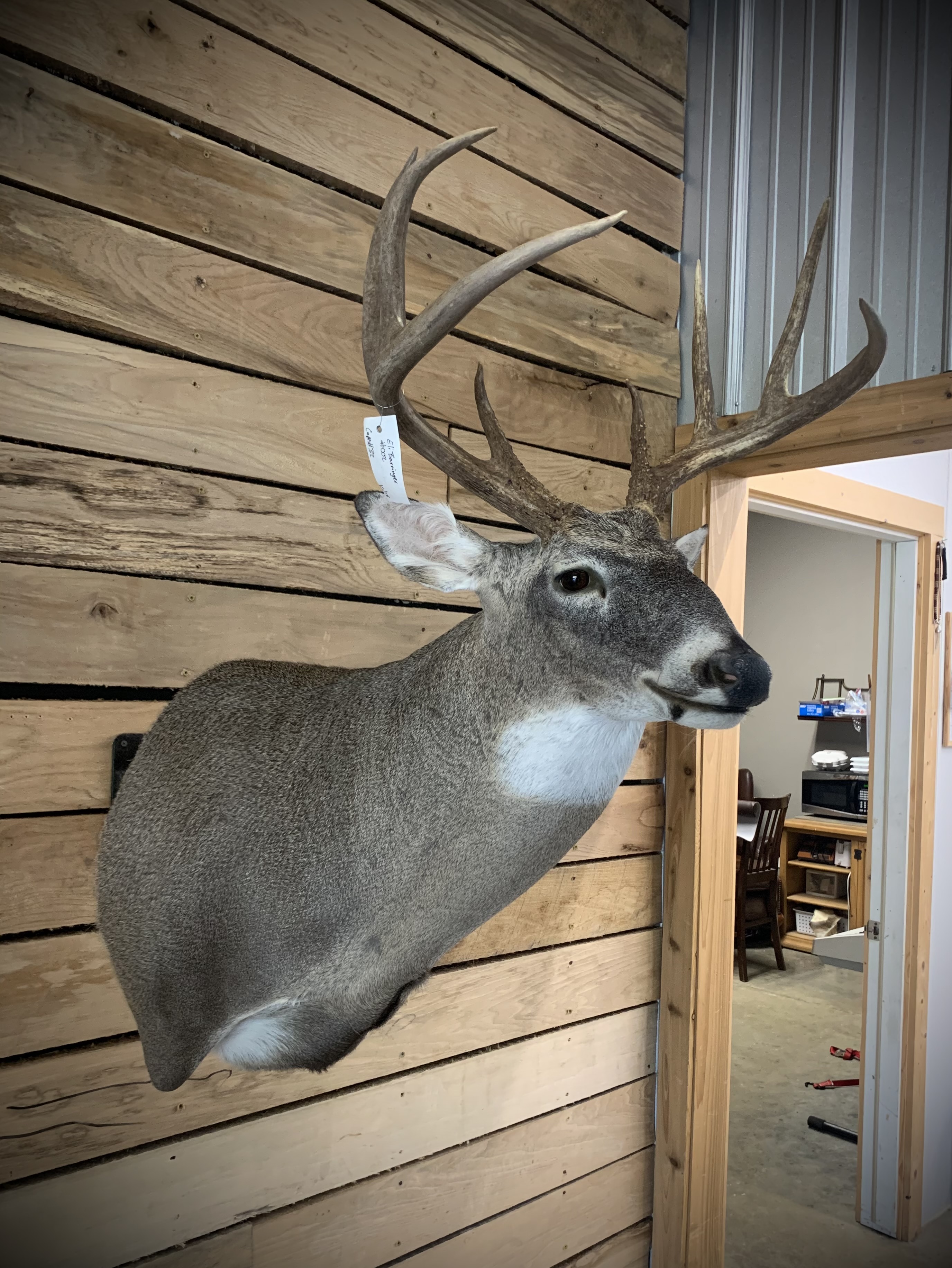 Stonewall Taxidermy Stonewall Deer Processing and Taxidermy