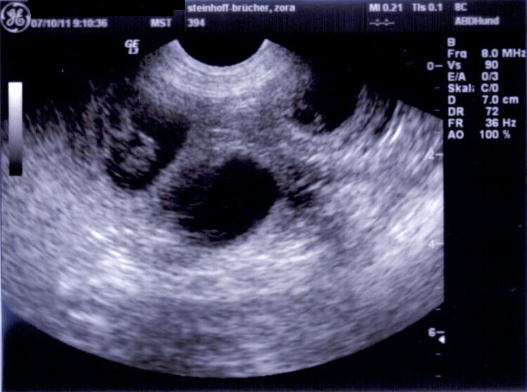 Stoneyard's dark velvet