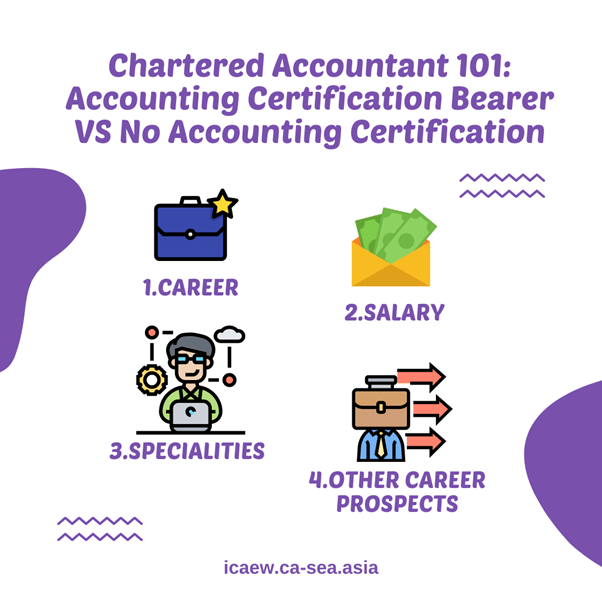Chartered Accountant 101 Accounting Certification Bearer VS No