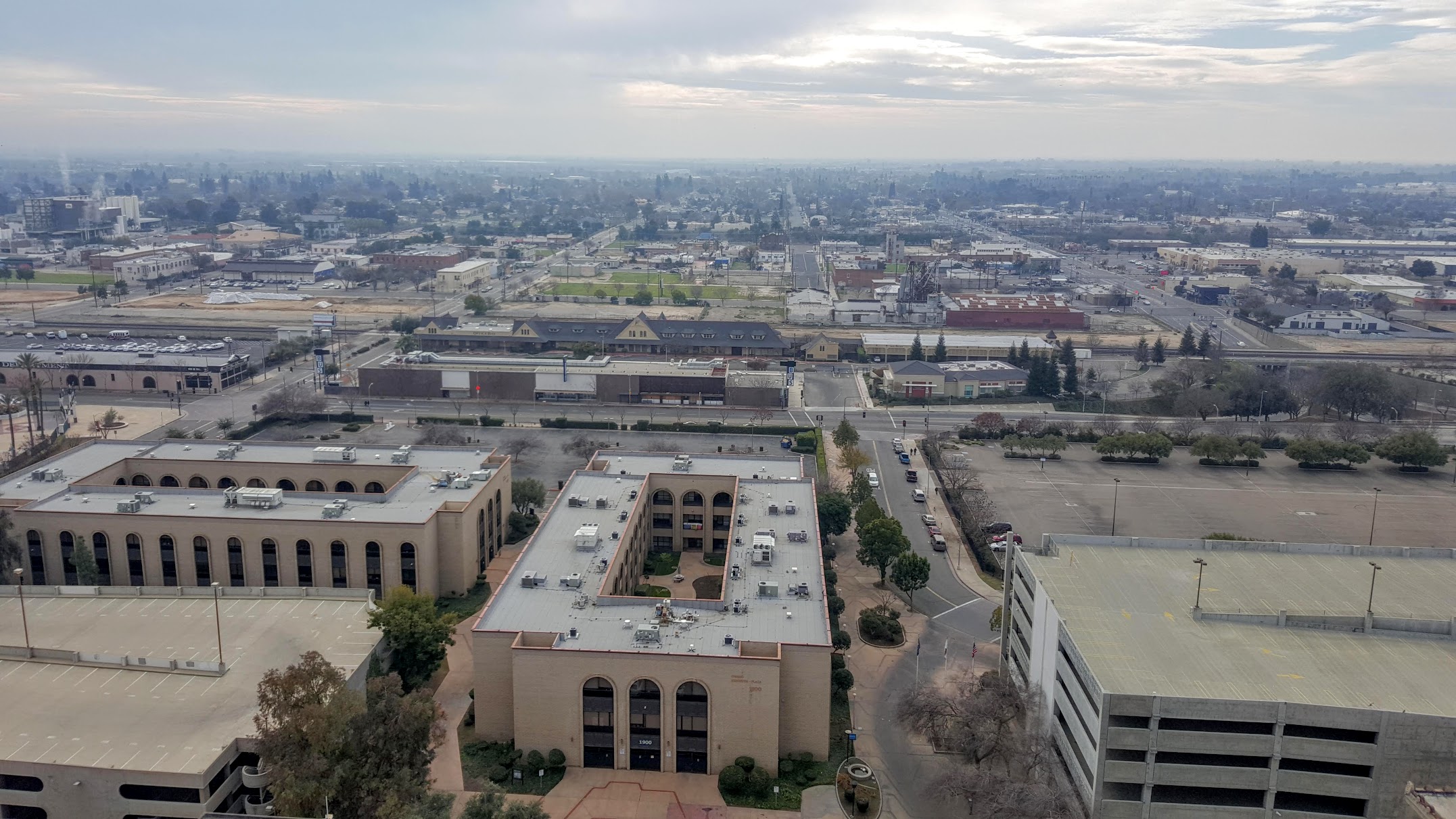 greyhound Stop and Move