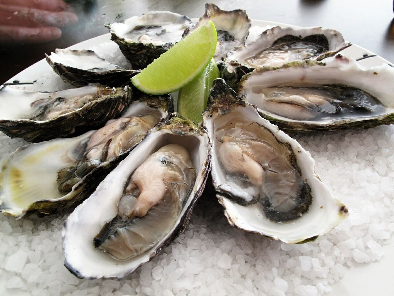 Shellfish + Foodborne Illness What You Need to Know to Prevent