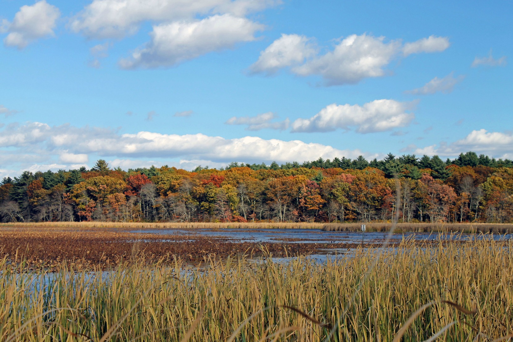 Great Meadows National Wildlife Refuge Stop. Look. Shoot.