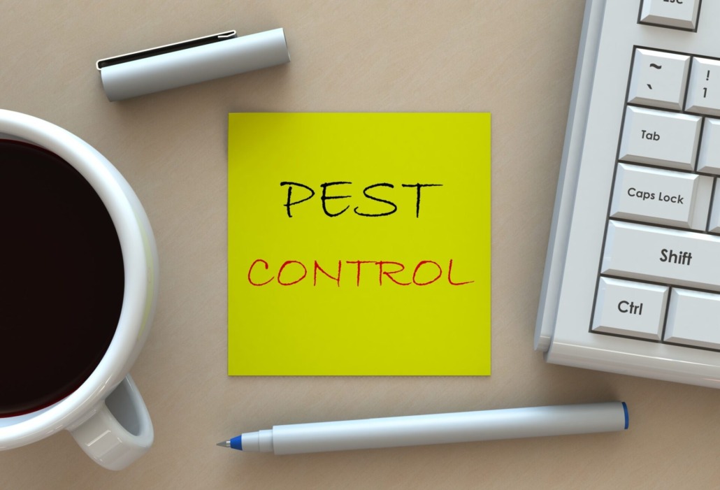 8 Questions to Ask Before Hiring a Pest Control Service
