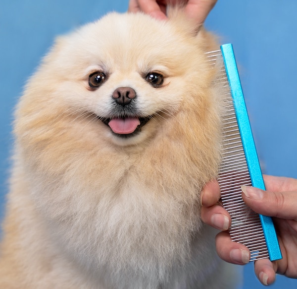 Dog Comb Stop My Dog Shedding
