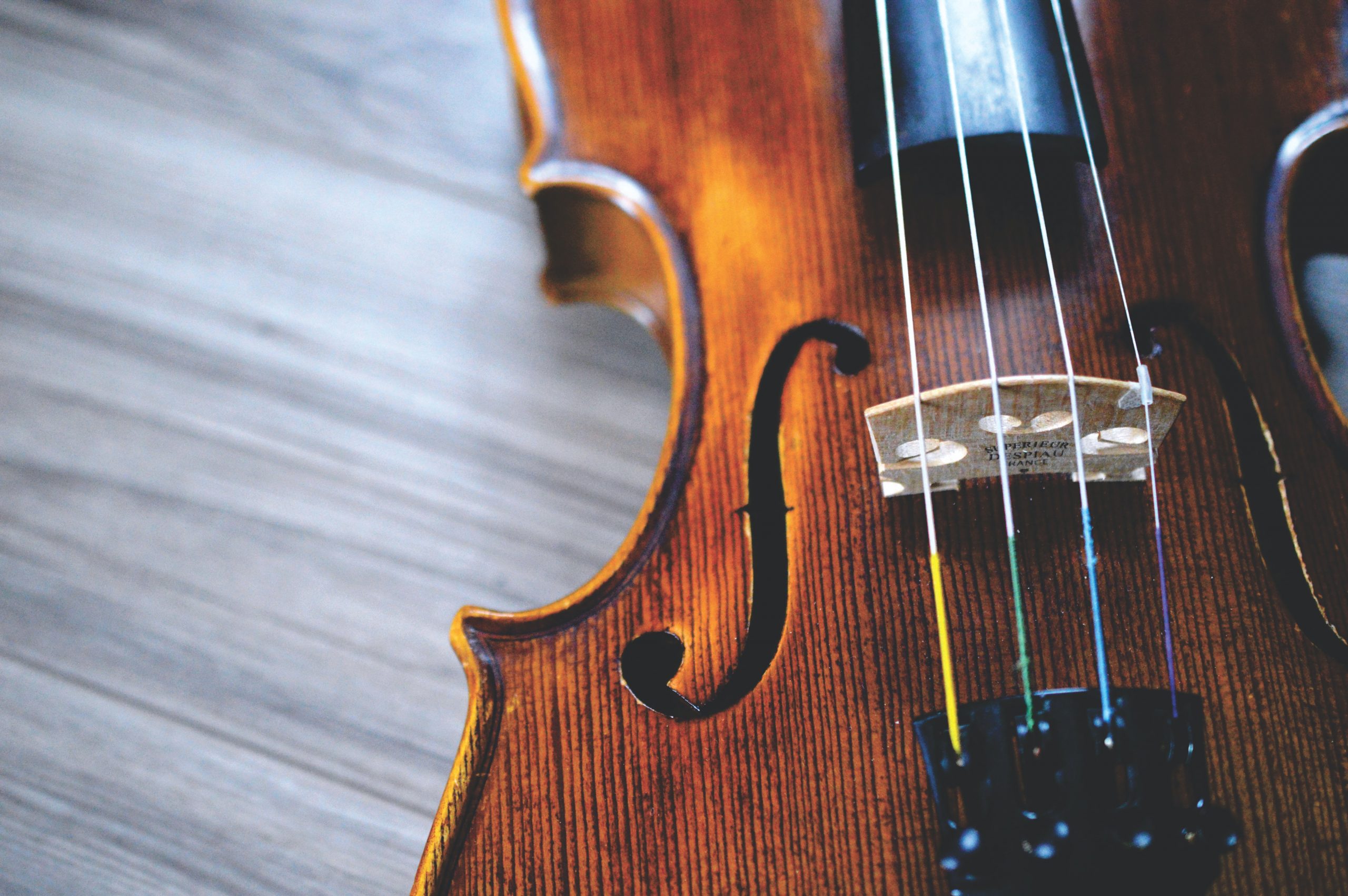 How To Choose The Number One Violin Shop Singapore? Stoptazmo