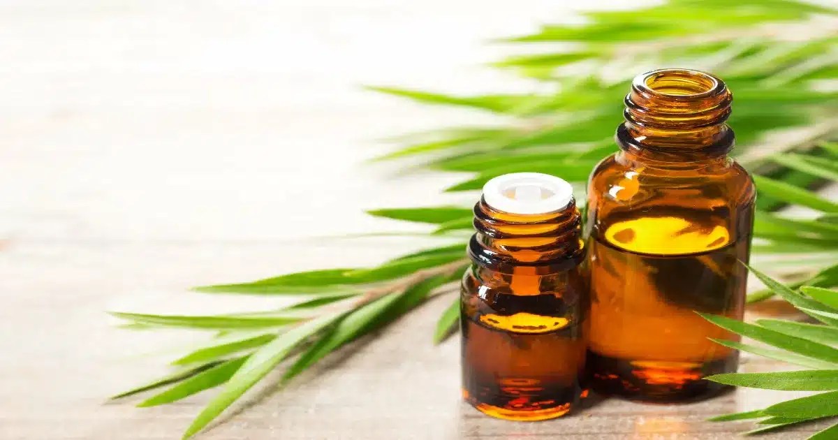 Top 4 Best Tea Tree Oil Review 2023
