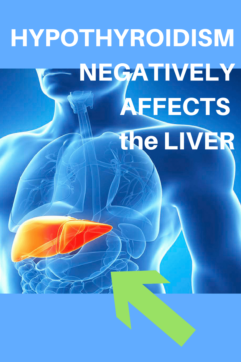 Another reason to shun T4 medsyour liver Stop The Thyroid Madness