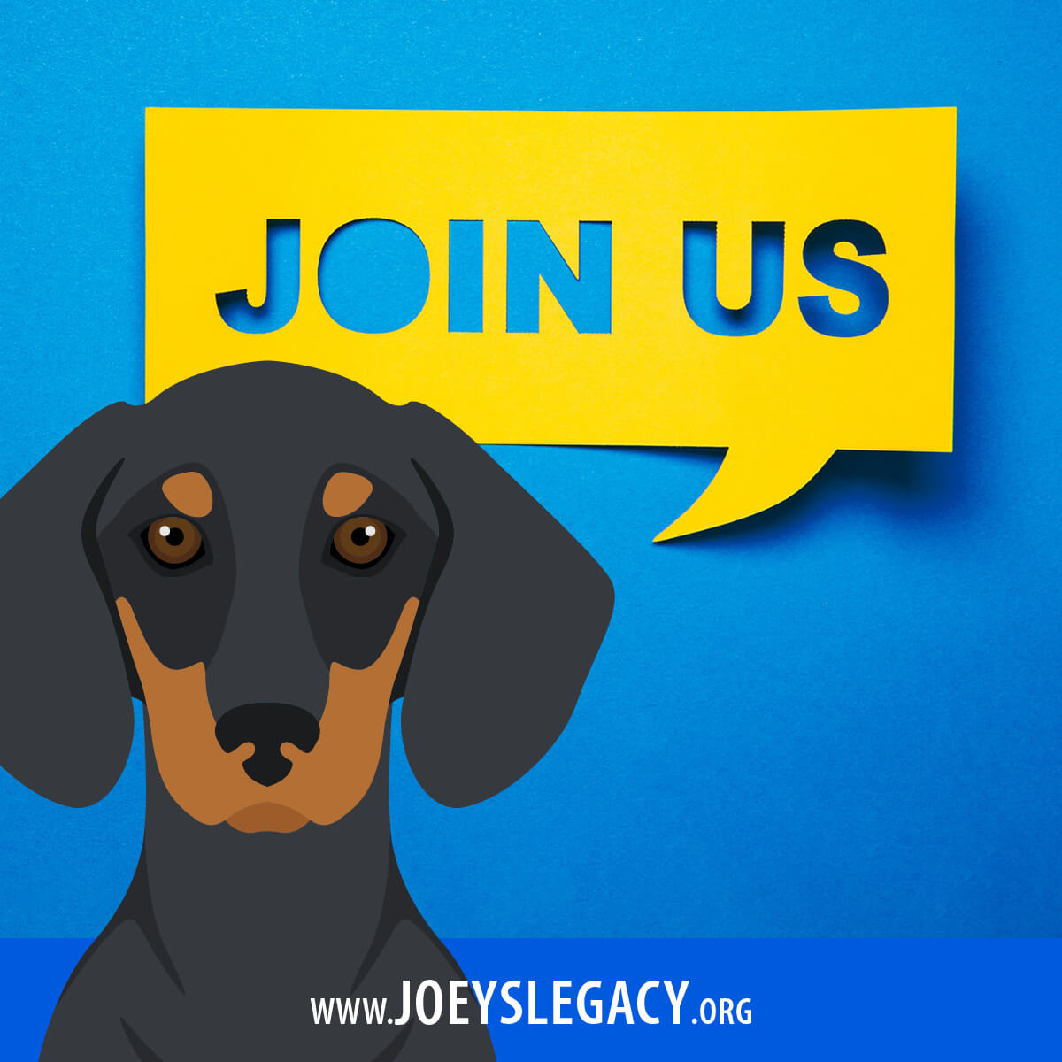 Giving Back VETERINARY MALPRACTICE CONSULTANTS