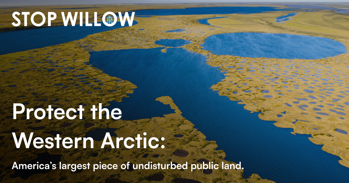 EARTHJUSTICE Bureau Of Land Management Has Authority To Take No Action