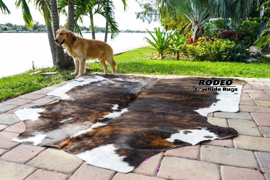 Affordable Cow Hide Rug For Your Living Room Storables