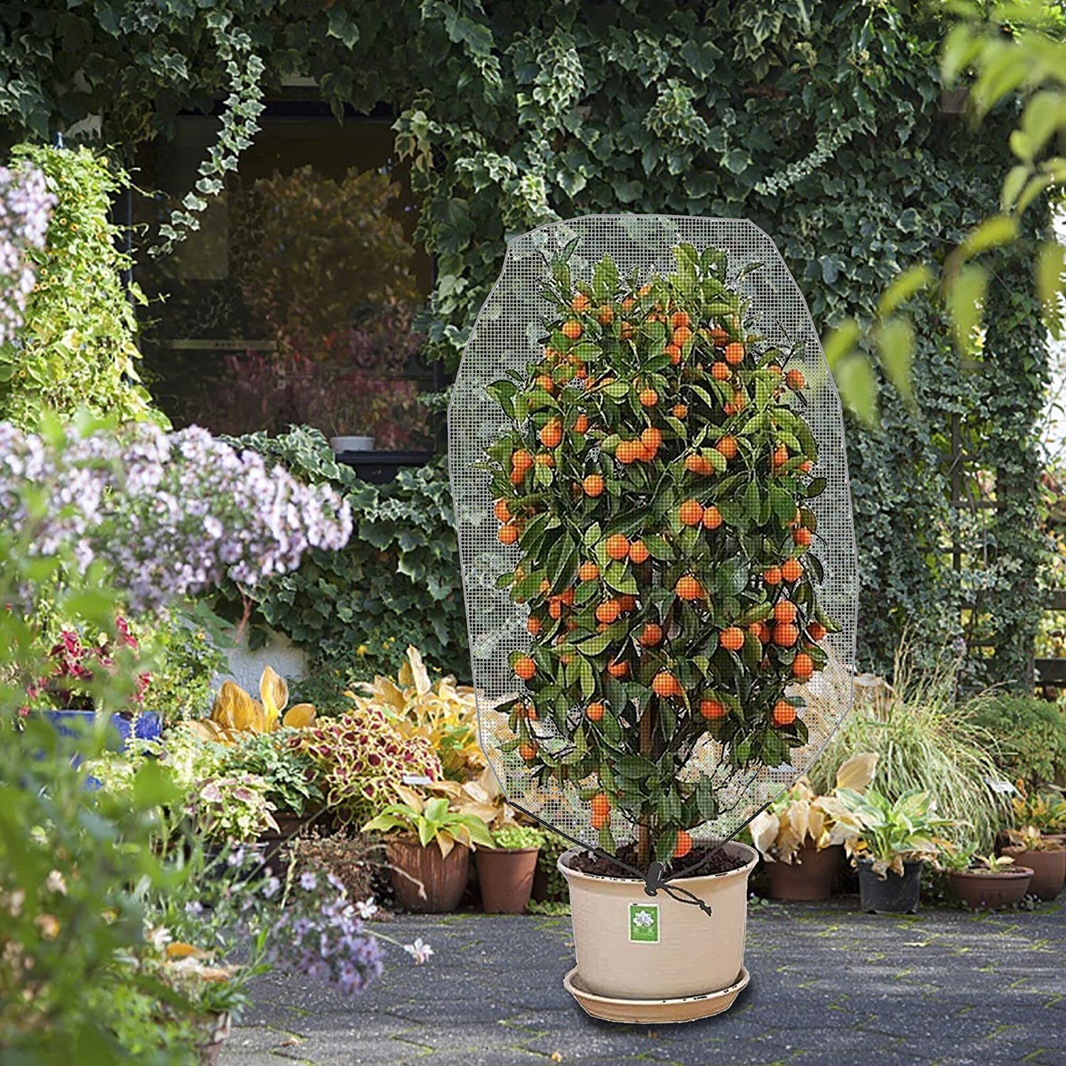 Insect Netting For Garden Bunnings Fasci Garden