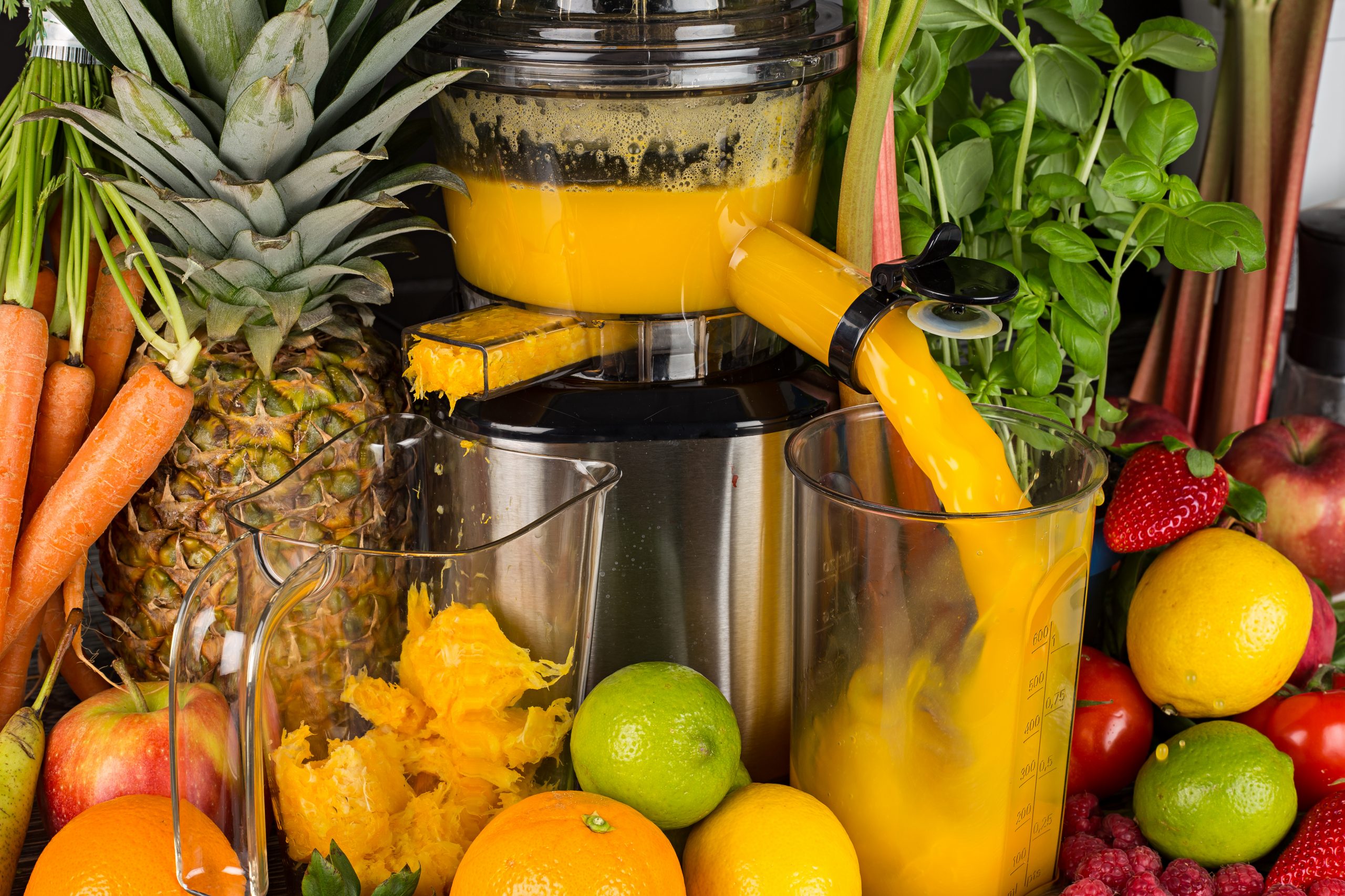 Juicer vs Blender What's The Difference? Storables