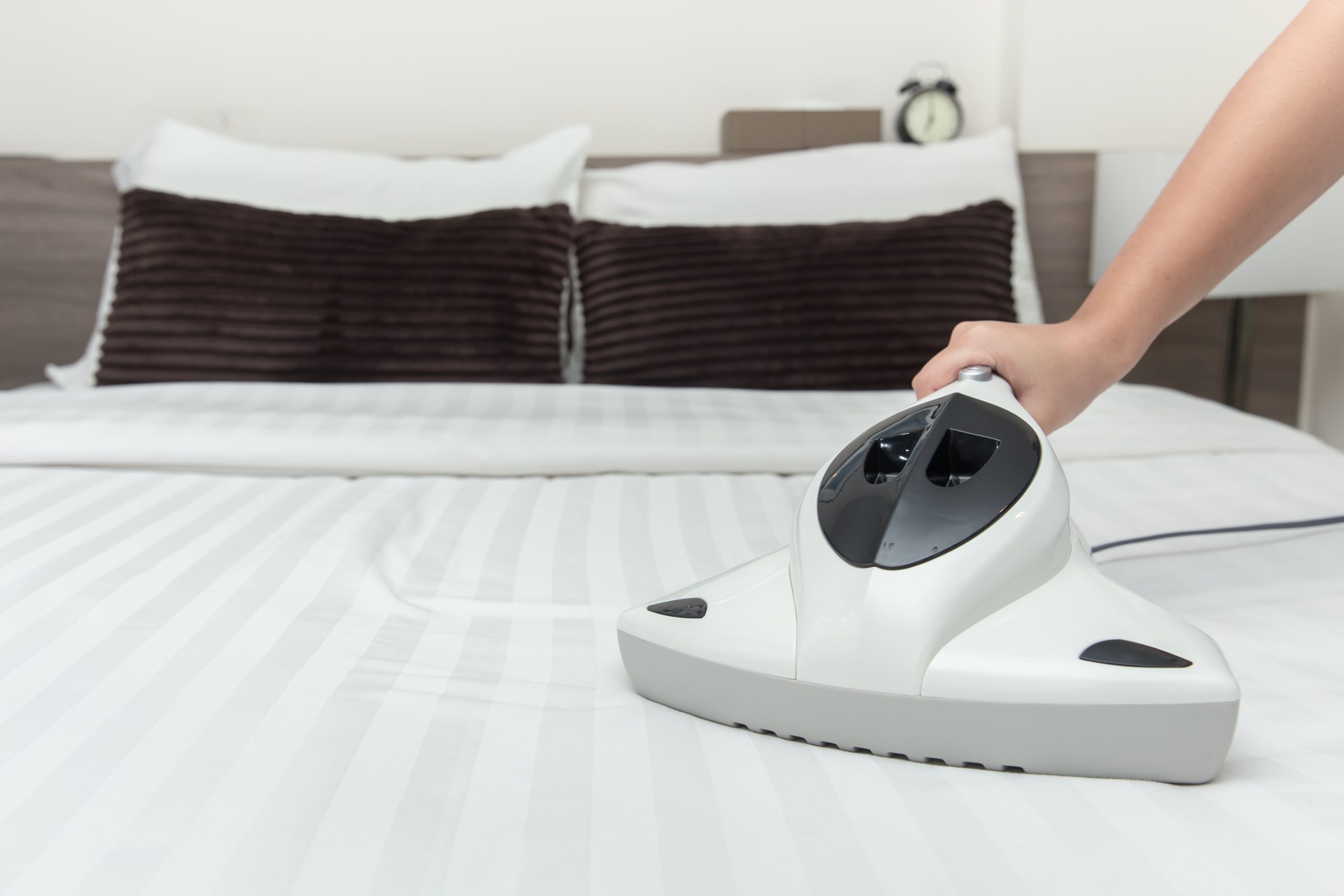 Best Mattress Cleaner Machine Picks for Your Home Storables