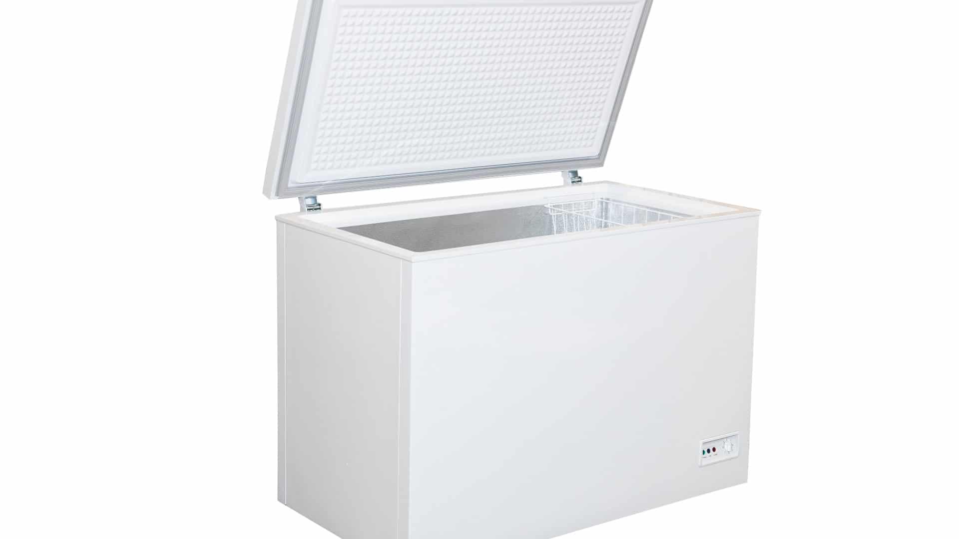 How Long Does It Take For A Deep Freezer To Get Cold Storables