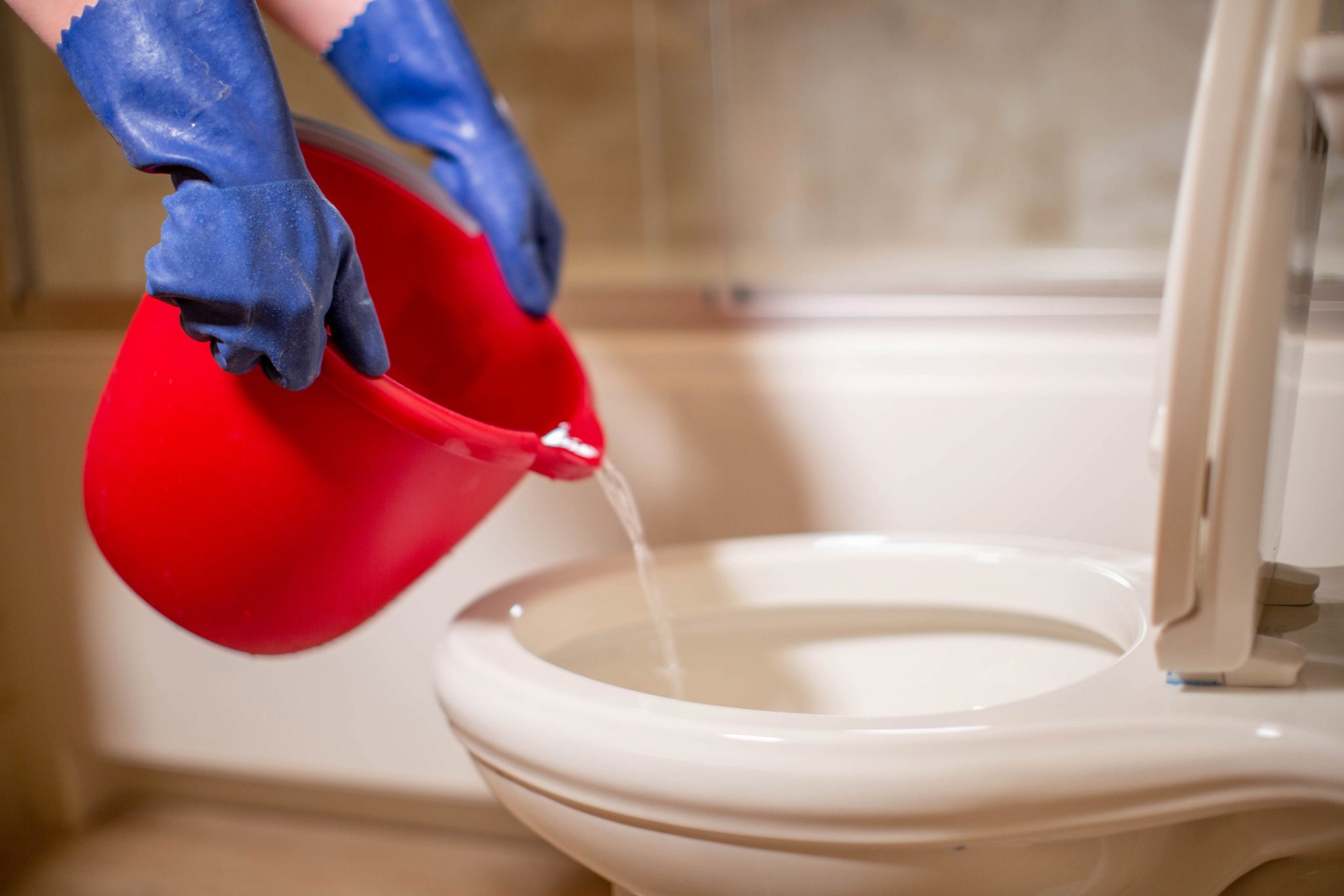 How To Clean A Toilet Drain Storables