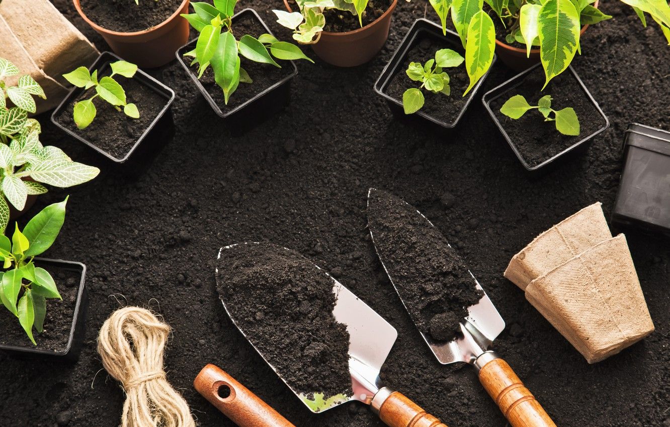 How To Clean Garden Tools Storables