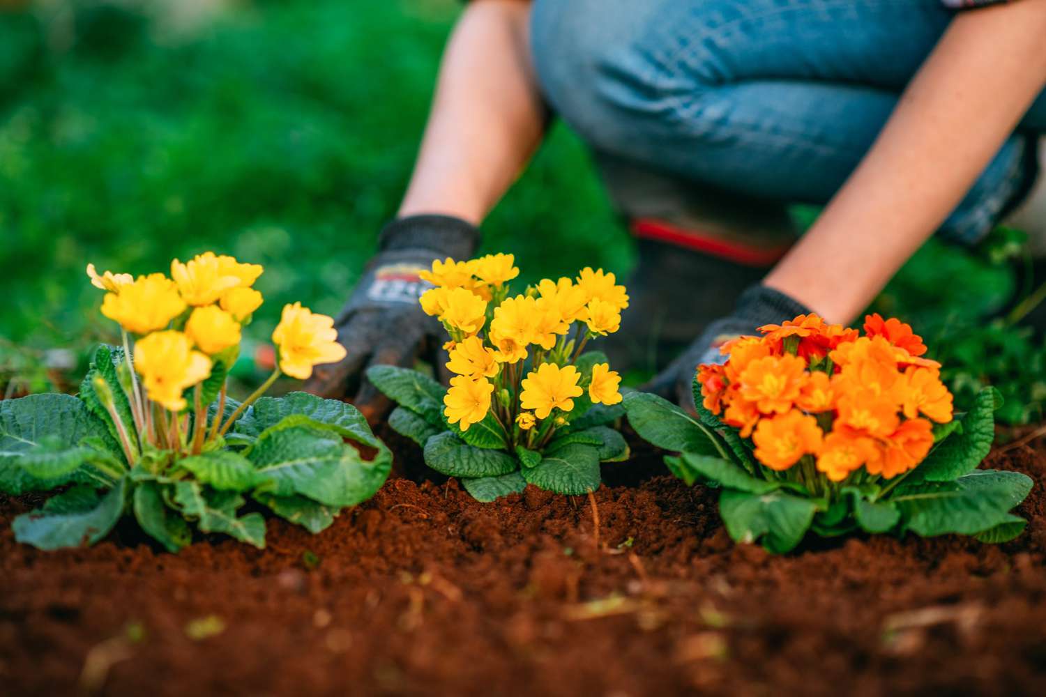 How To Design A Flower Garden Storables