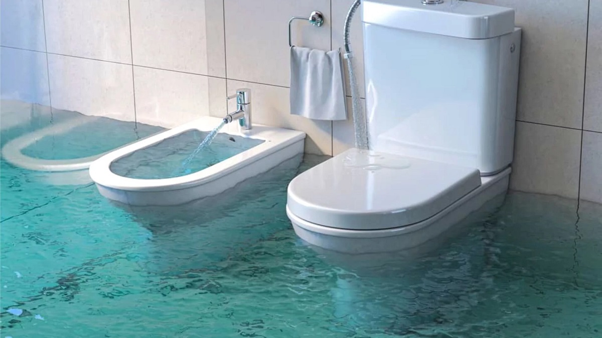 How To Fix An Overflowing Toilet Storables