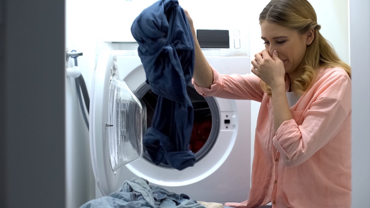 How To Remove Mildew Smell From Washer Machine Storables