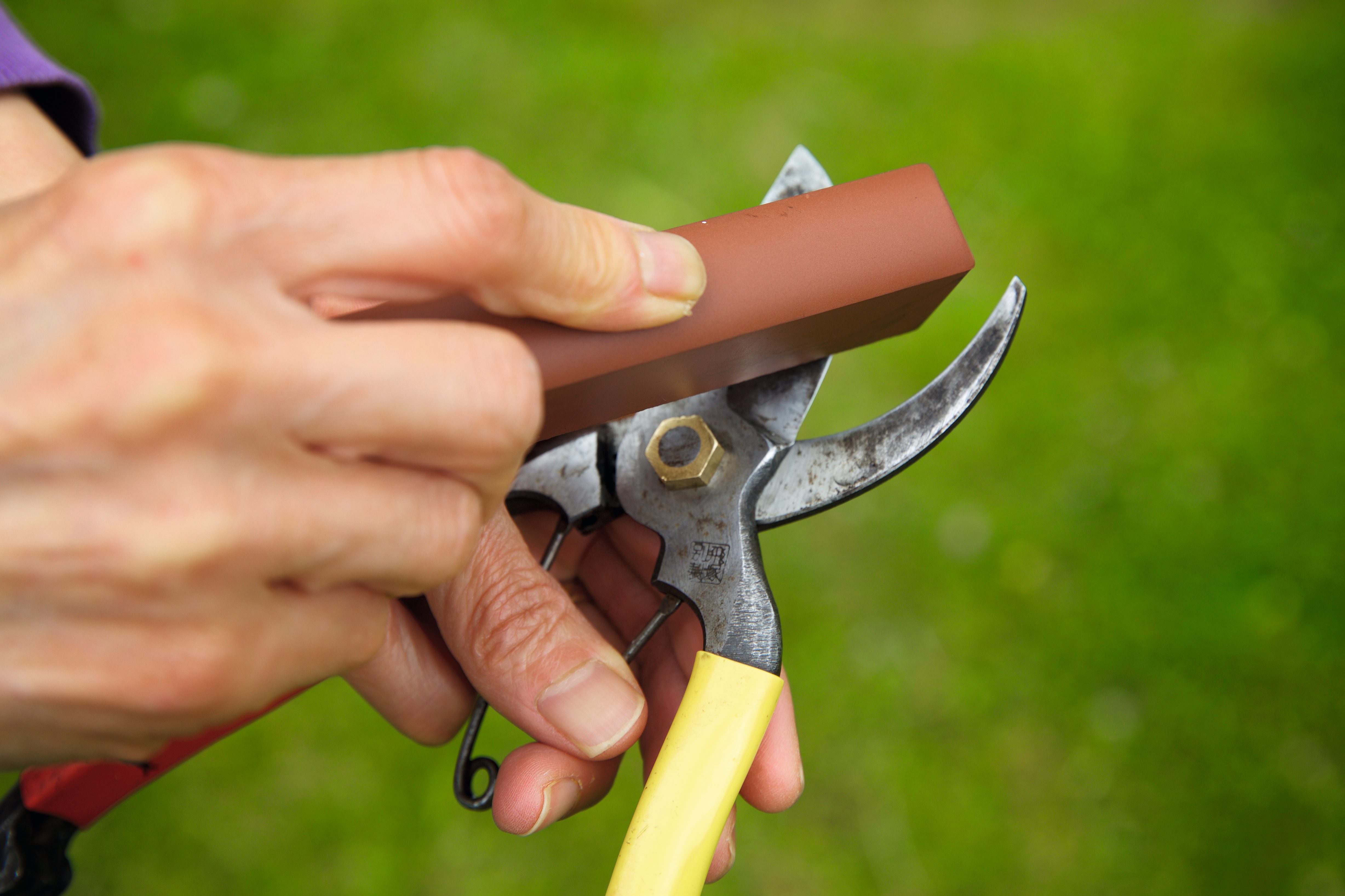 How To Sharpen Garden Shears Storables