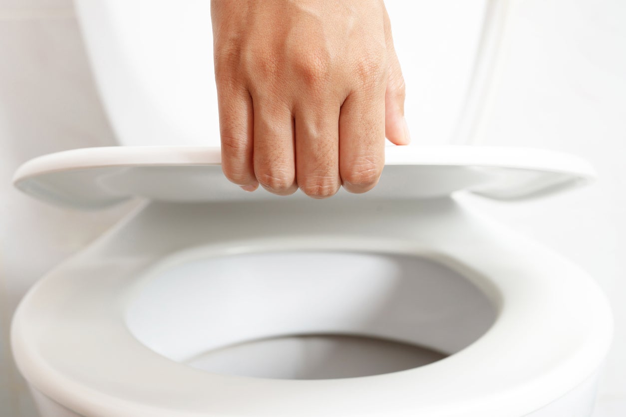 What Std Can You Get From A Toilet Seat Storables