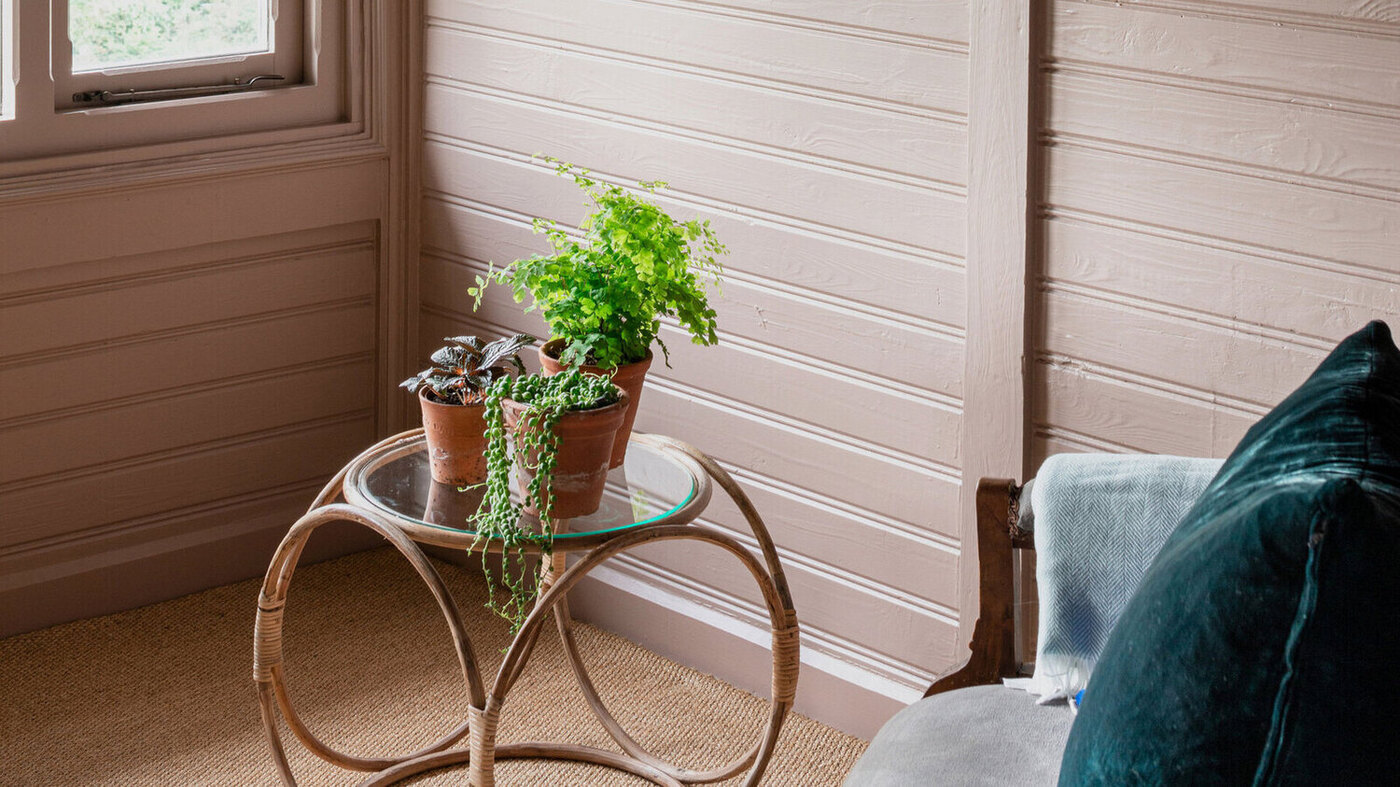 A Guide To Eggshell Paint And When To Use It Storables