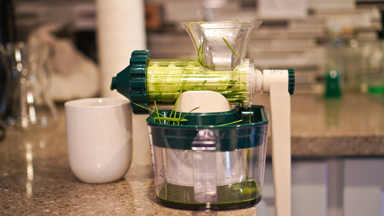 What Is The Best Juicer For Wheatgrass Storables