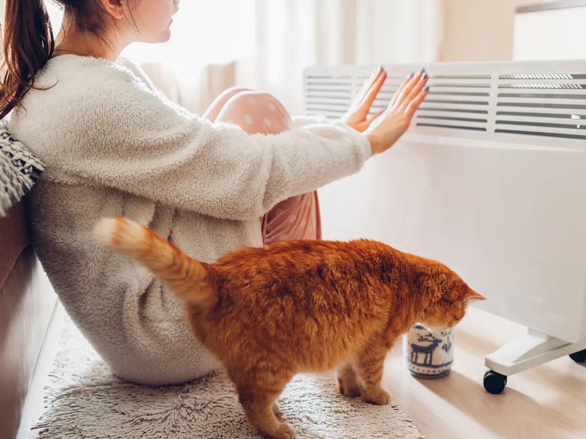 Which Type Of Space Heater Is Most Energy Efficient? Storables