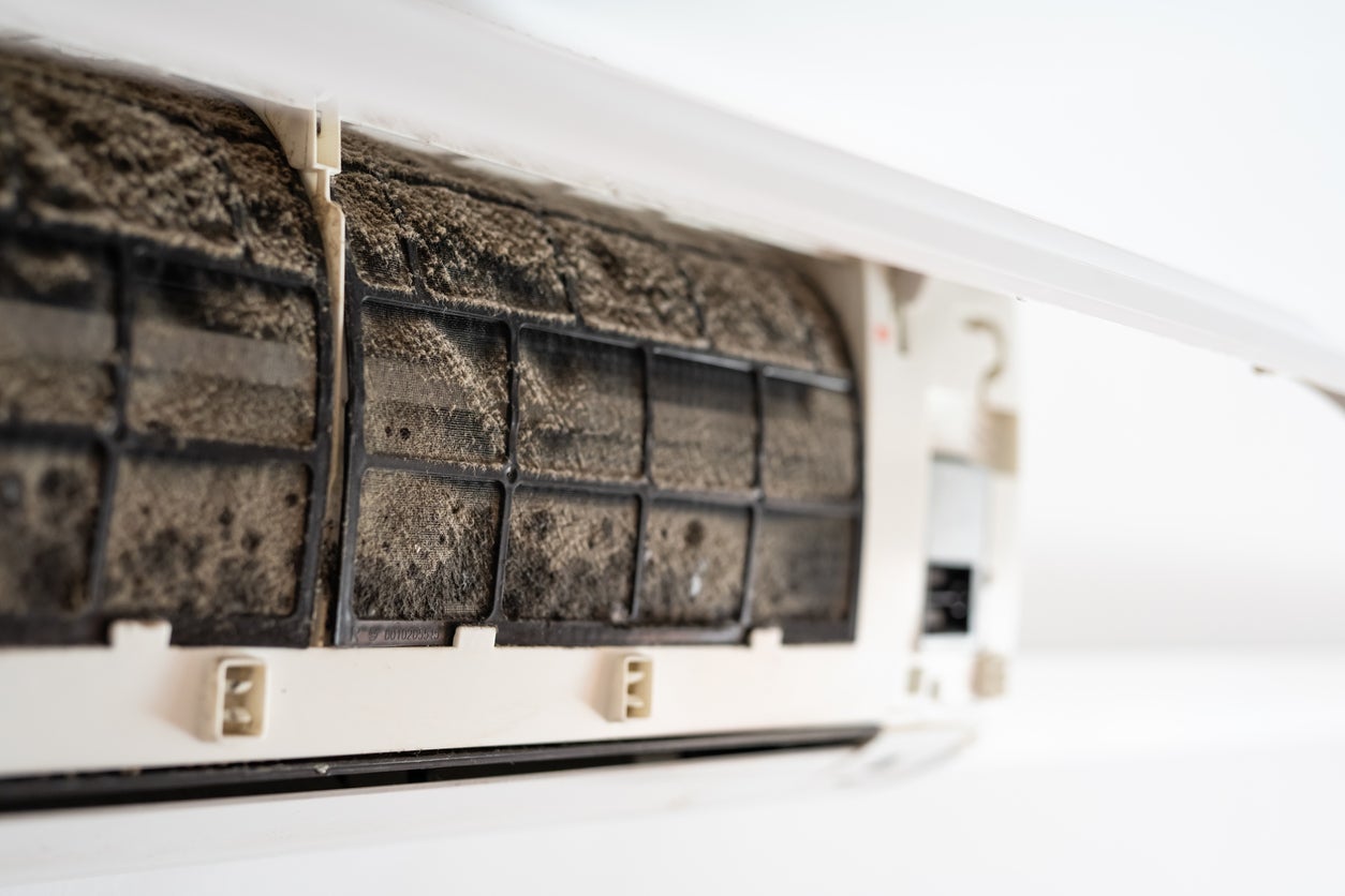 How To Get Mold Out Of HVAC System Storables