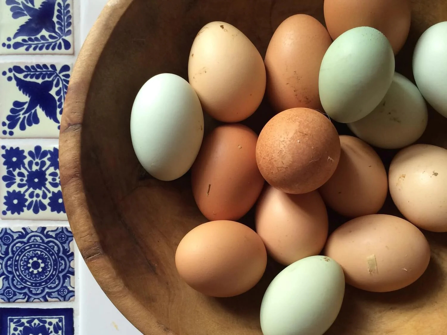 How To Store Eggs Without Refrigeration Storables
