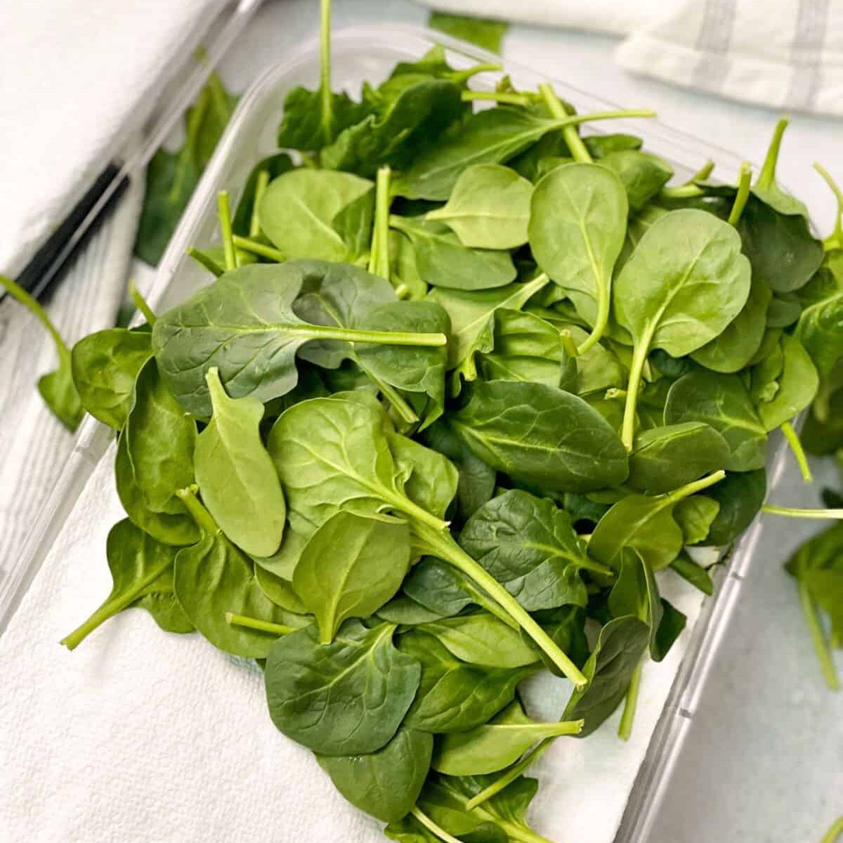 How To Store Fresh Spinach In Fridge Storables