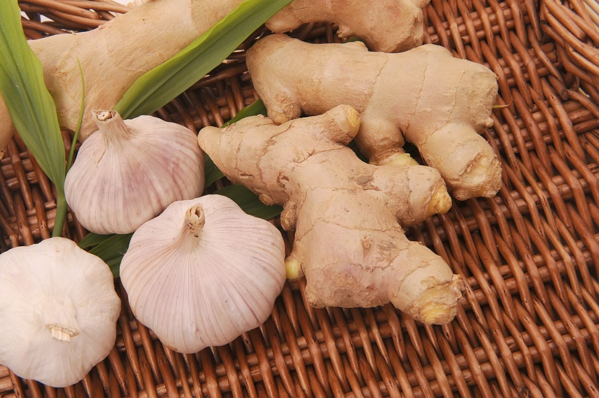 How To Store Garlic And Ginger Storables
