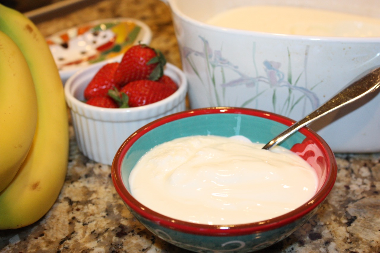 How To Store Homemade Yogurt Storables