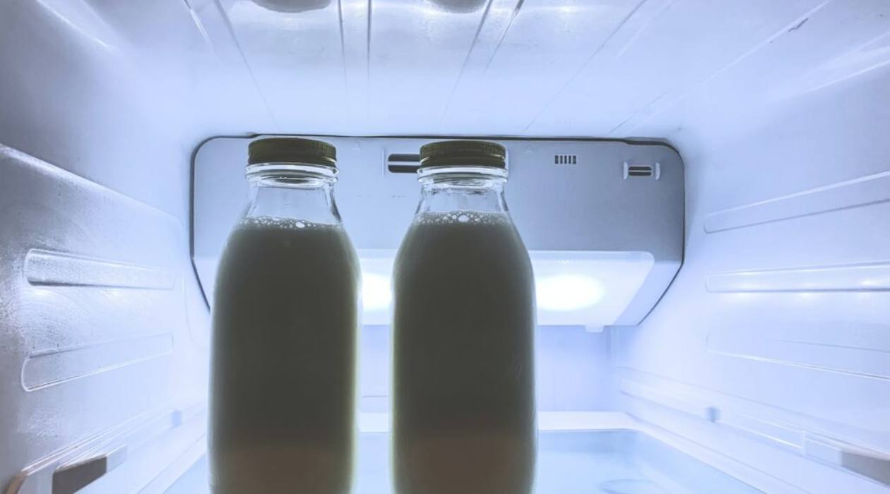 How To Store Milk From Haakaa Storables
