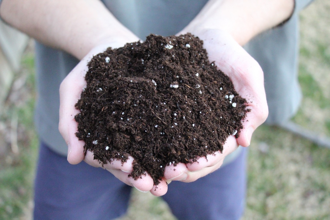 How To Store Potting Mix Storables
