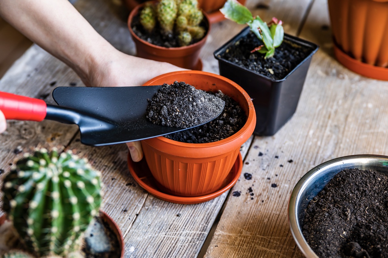 How To Store Potting Soil In An Apartment Storables